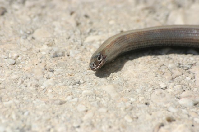 img_7540.jpg