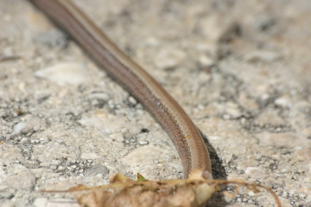 img_7542.jpg