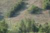 img_7557_small.jpg