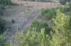 img_7566_small.jpg