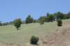 img_7672_small.jpg