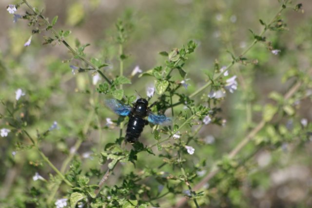 img_7714.jpg