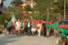 img_8222_small.jpg