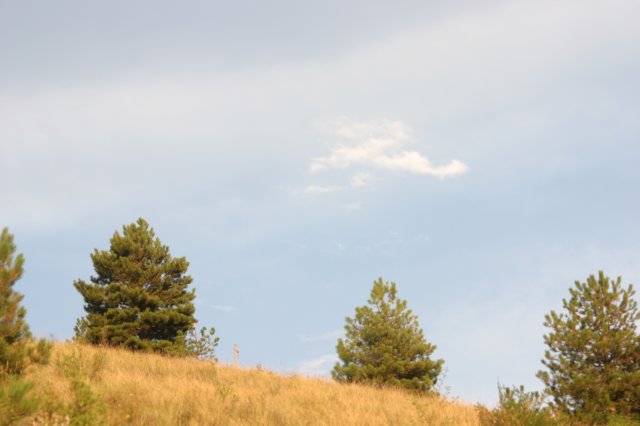 img_8270.jpg