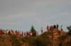 img_8314_small.jpg