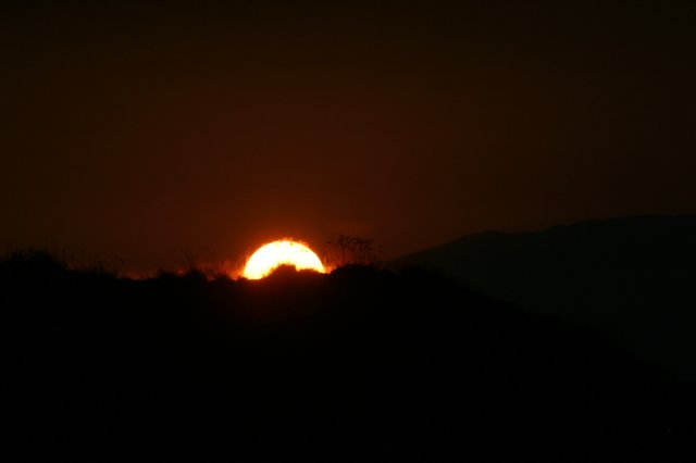 img_8324.jpg
