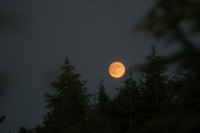 img_8352.jpg