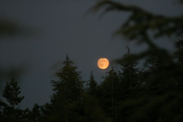 img_8354.jpg