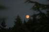 img_8354_small.jpg