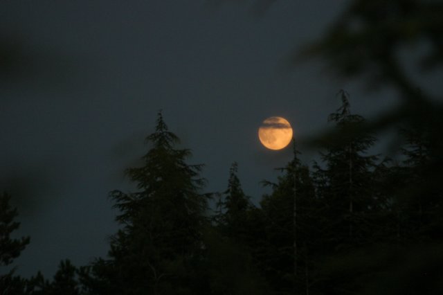 img_8355.jpg
