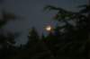 img_8356_small.jpg
