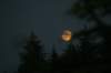 img_8357_small.jpg
