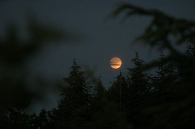 img_8360.jpg