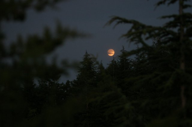 img_8361.jpg