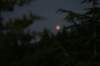 img_8361_small.jpg