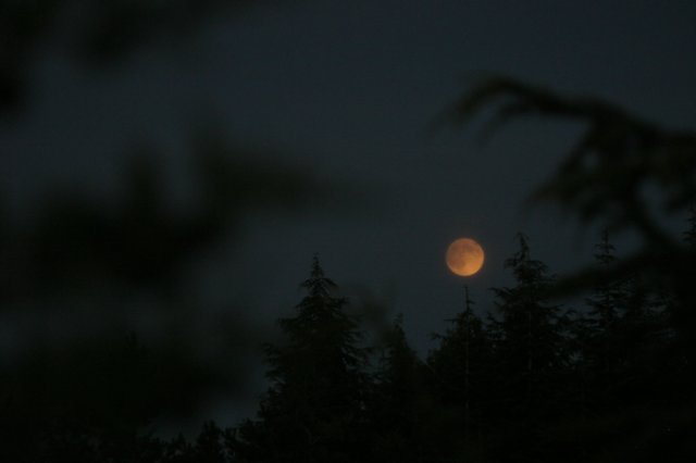 img_8365.jpg