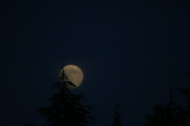 img_8367.jpg