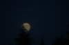 img_8367_small.jpg