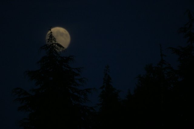 img_8369.jpg