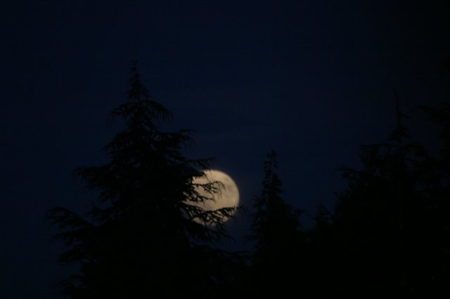 img_8371.jpg