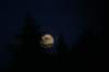 img_8372_small.jpg