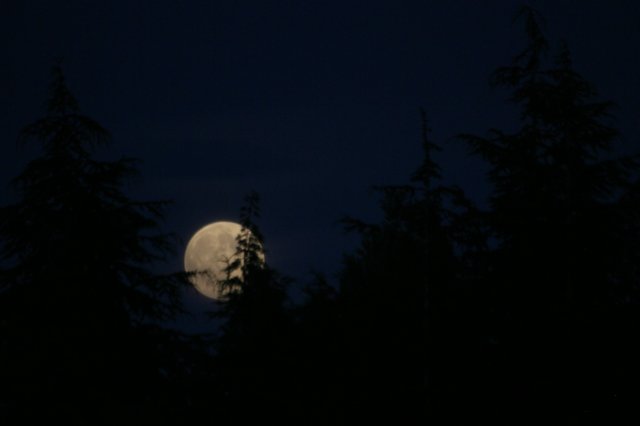 img_8373.jpg