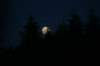img_8375_small.jpg