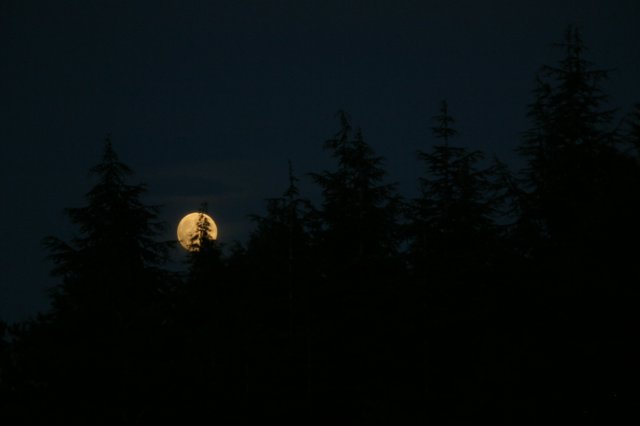 img_8378.jpg