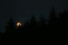 img_8379_small.jpg