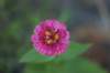 img_8137_small.jpg