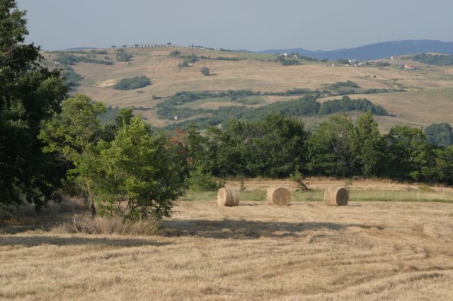 img_8160.jpg