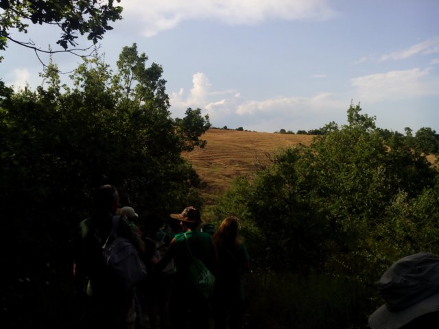 img_20140810_172231.jpg