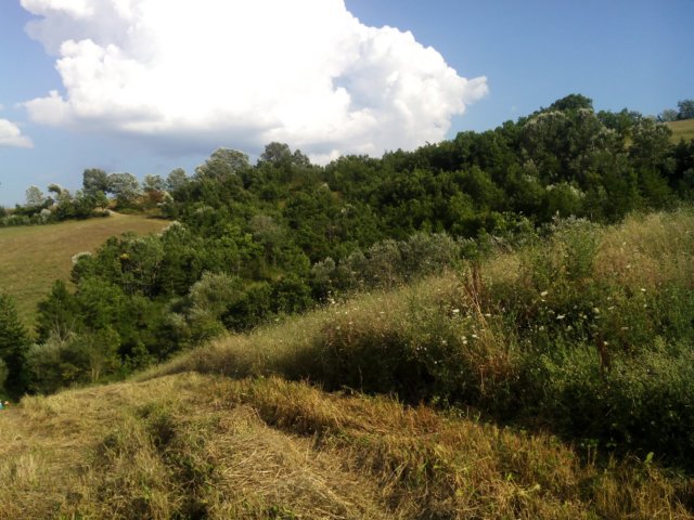 img_20140810_173020.jpg