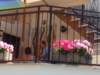 img_20140810_125533_1_small.jpg