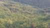 img_20140810_193629_small.jpg