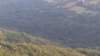 img_20140810_193716_small.jpg