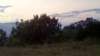 img_20140810_201525_1_small.jpg