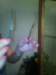 img_20140810_103815_small.jpg