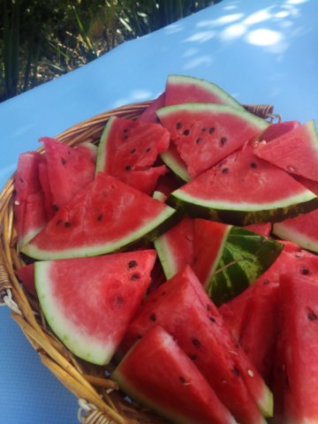 img_20140810_162808.jpg