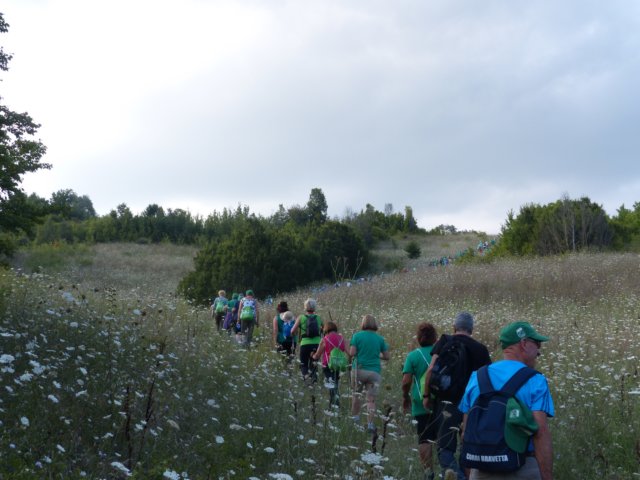 p1060430.jpg