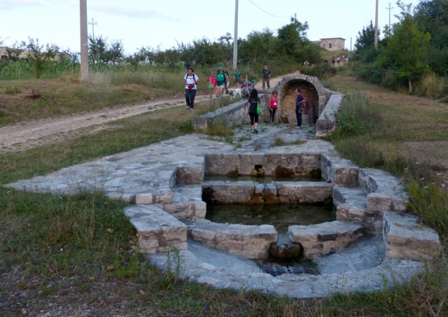p1060440.jpg