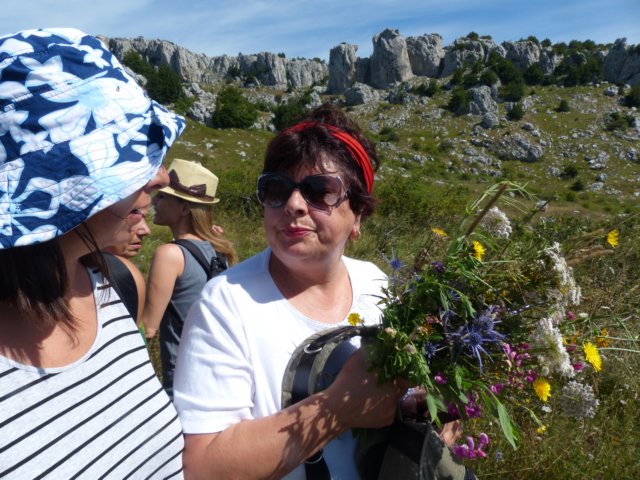 p1060647.jpg