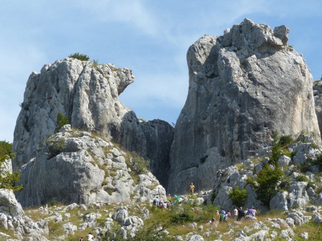 p1060657.jpg