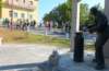 p1060733_small.jpg