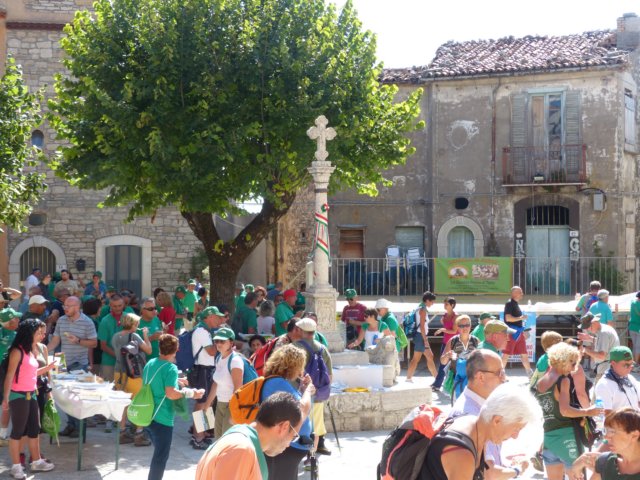 p1060768.jpg