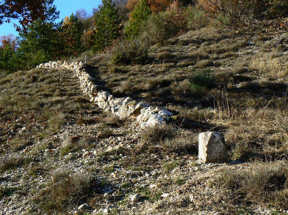 Leggi il programma
