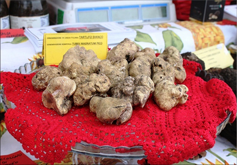 Il tartufo bianco di San Pietro Avellana conquista il turismo 