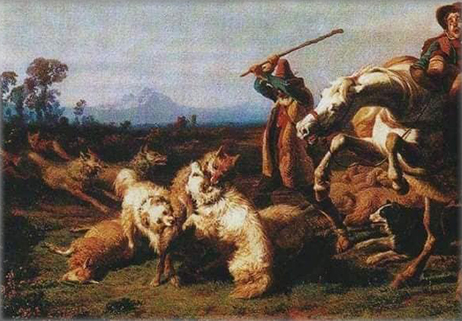 Il nostro cane da pecora