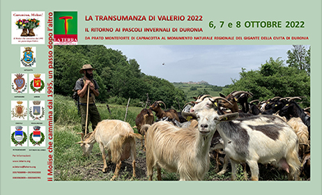 “La Transumanza con le capre di Valerio” 2022 – Il Ritorno