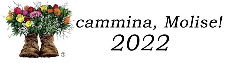XXVIII Edizione 2022